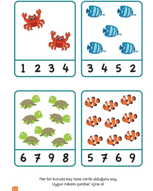 Erken Akademik Gelişim Bilişsel Etkinlikler 3-4 Yaş - Görsel 4