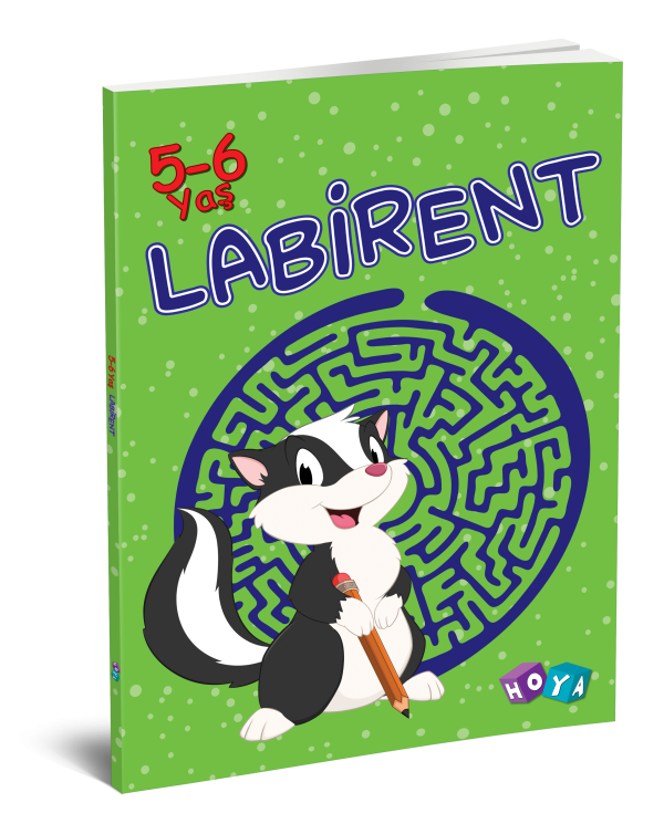 Labirent 5-6 Yaş